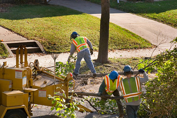 Lawn Irrigation Installation and Maintenance in Gold Beach, OR